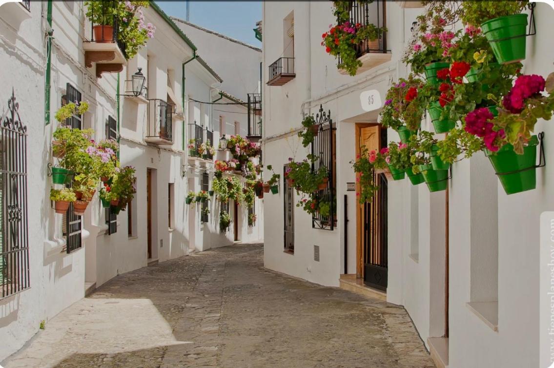 Apartamento E&D Nerja Eksteriør billede